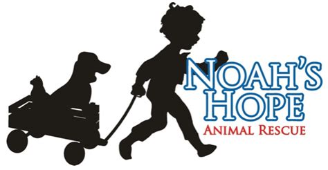 Noah's hope - Noah’s Hope, along with our multi-disciplinary team, work to ensure the needs of the child victim and their family are met and they are on the road to healing and safety. The team focuses on providing trauma informed services while addressing concerns the child and family may have. 